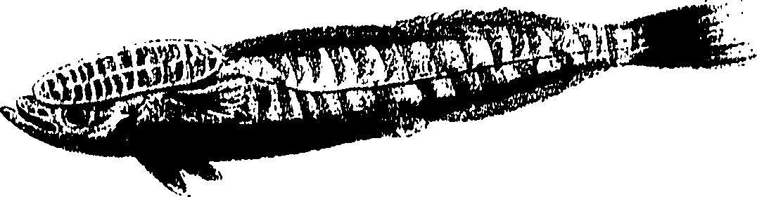 090/090490020004990_0.png