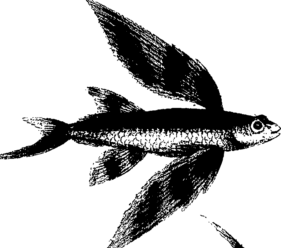 090/090490020004990_2.png
