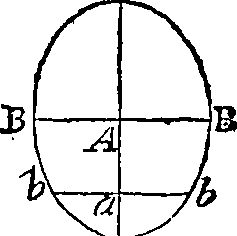 090/090500070004010_0.png