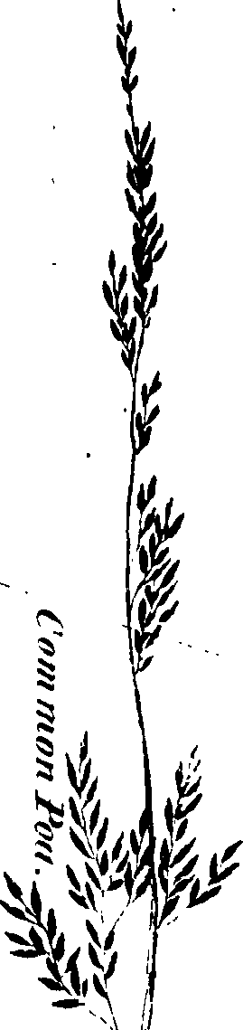 090/090530040003750_1.png