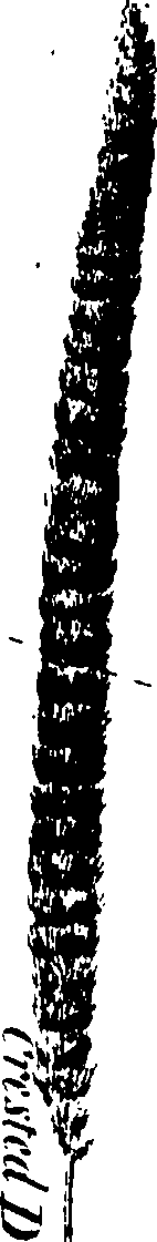 090/090530040003750_2.png