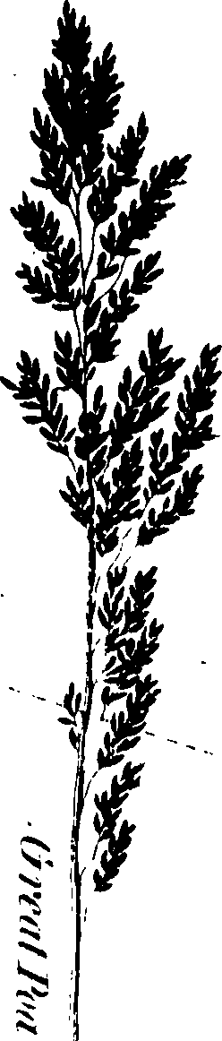 090/090530040003750_3.png