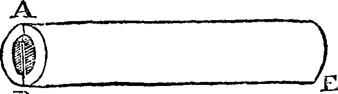 090/090540020002320_2.png
