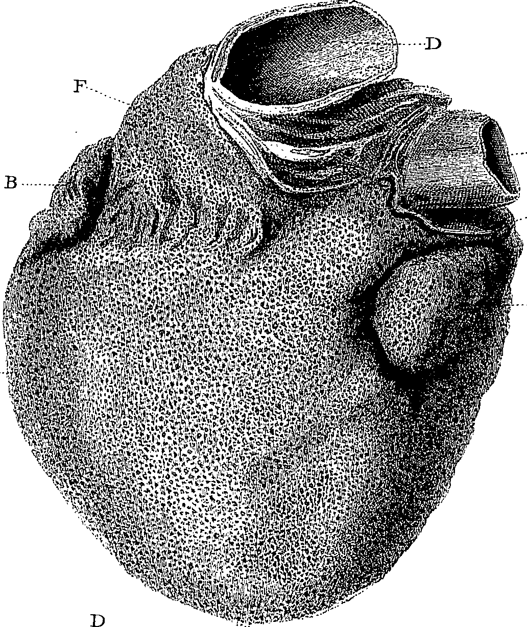 090/090550020000110_0.png