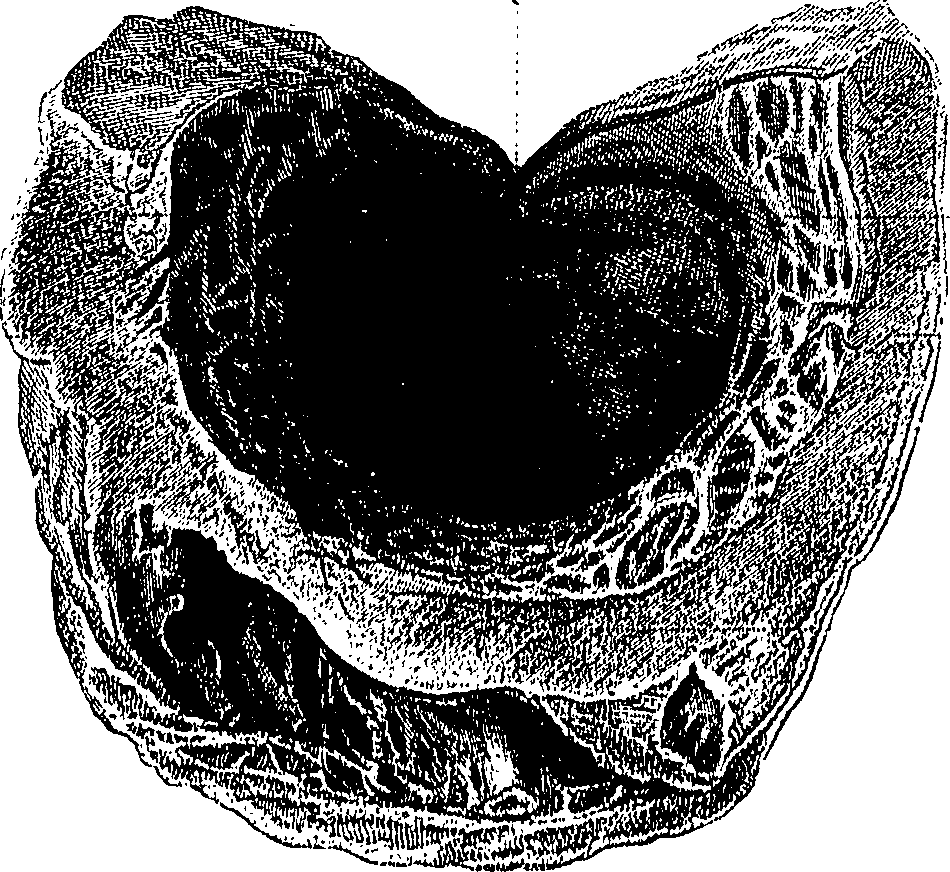 090/090550020000180_0.png