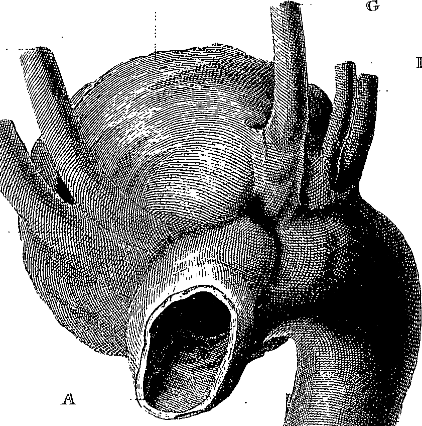 090/090550020000180_1.png