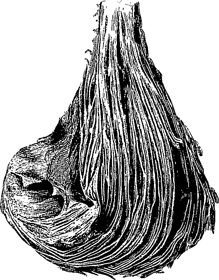 090/090550020000210_0.png