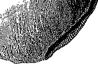 090/090550020000270_0.png