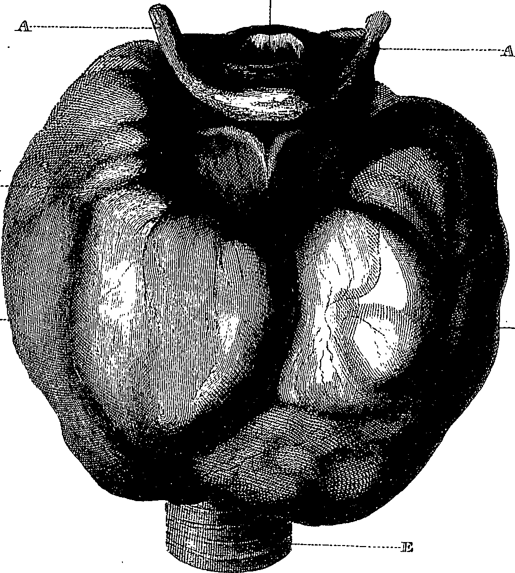 090/090550020000310_0.png