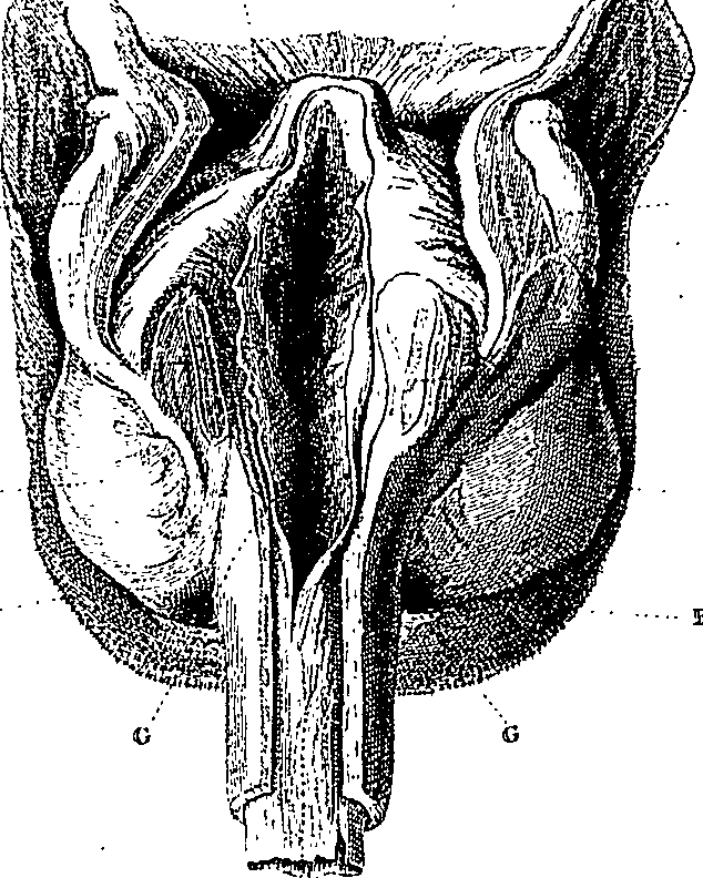 090/090550020000350_0.png