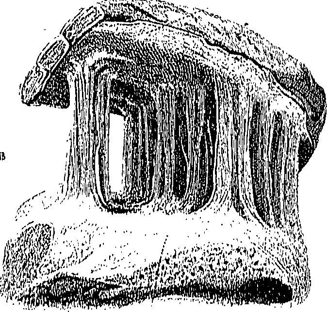 090/090550020000390_0.png