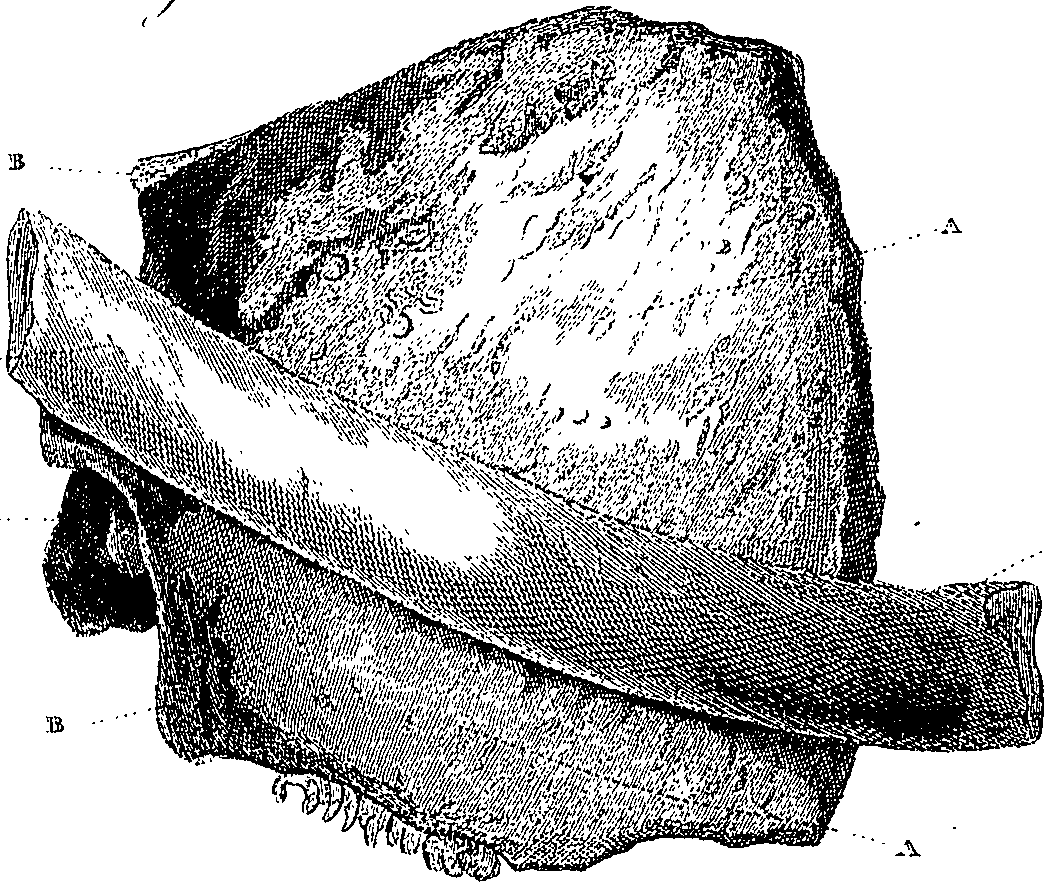 090/090550020000390_1.png