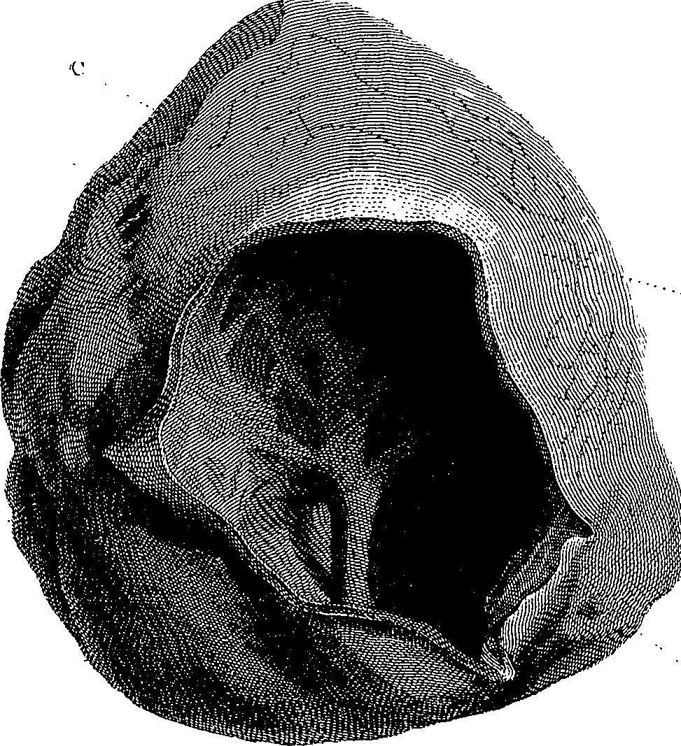090/090550020000430_0.png