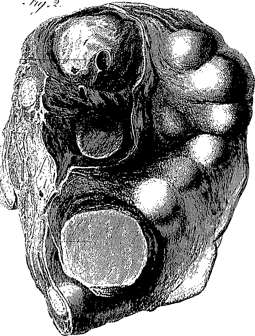 090/090550020000470_0.png