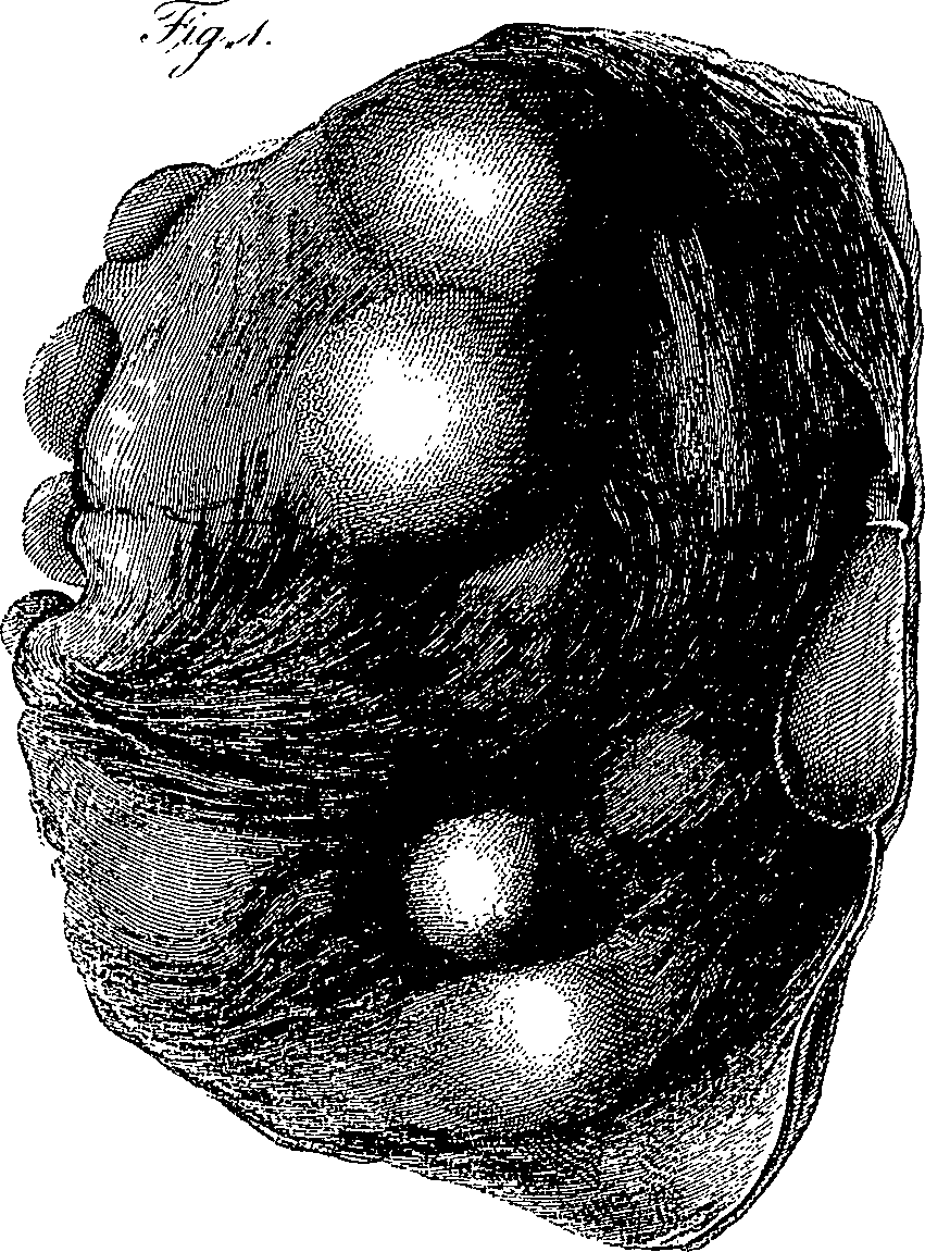 090/090550020000470_1.png