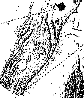 090/090550020000650_1.png