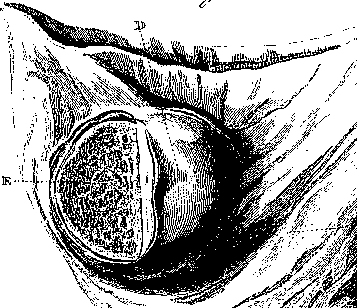 090/090550020000690_1.png