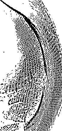 090/090550020000770_0.png