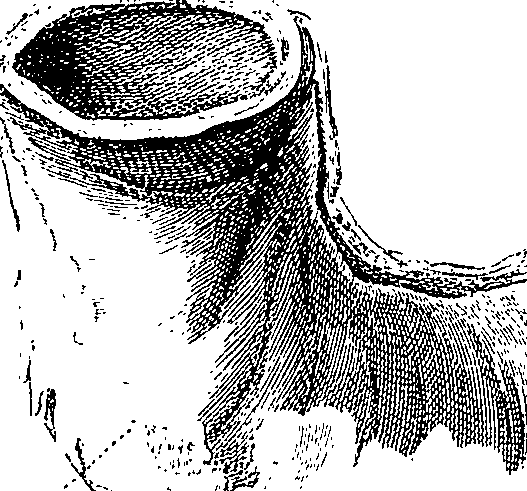 090/090550020000770_1.png
