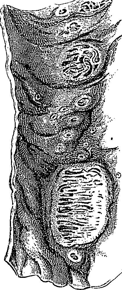 090/090550020000810_0.png