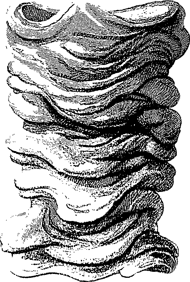 090/090550020000840_0.png