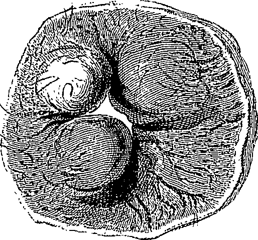 090/090550020000900_0.png