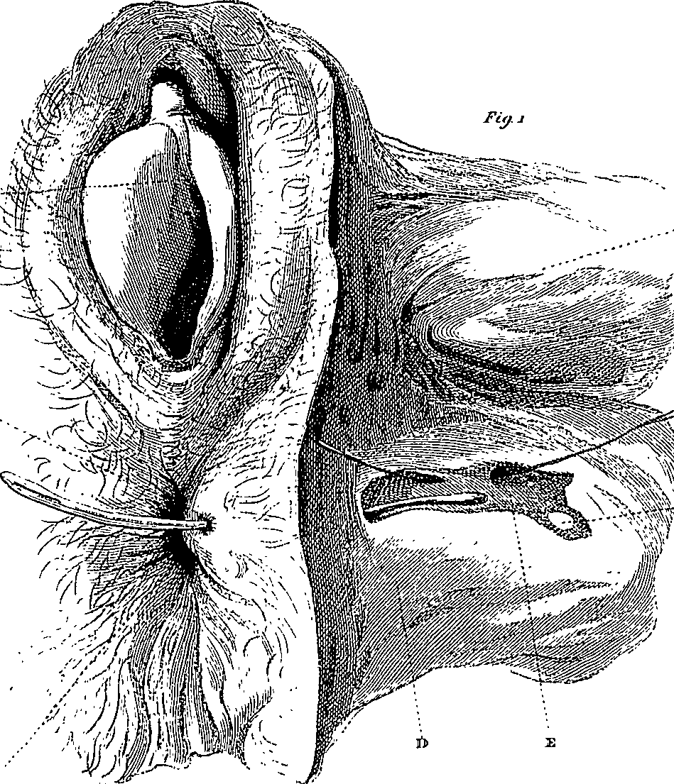 090/090550020000900_1.png