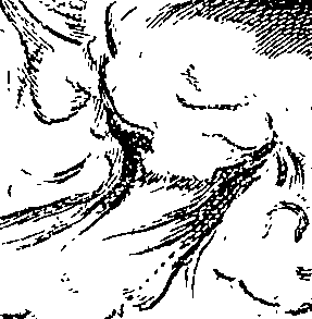 090/090550020001010_0.png