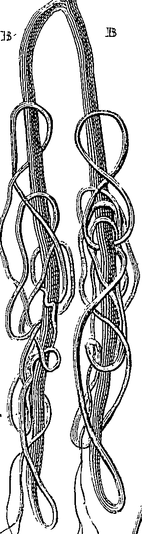 090/090550020001040_0.png