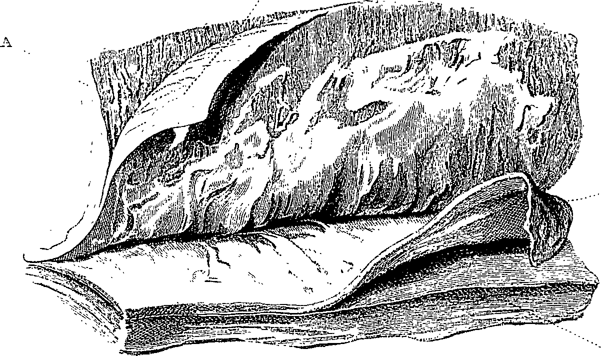 090/090550020001130_1.png