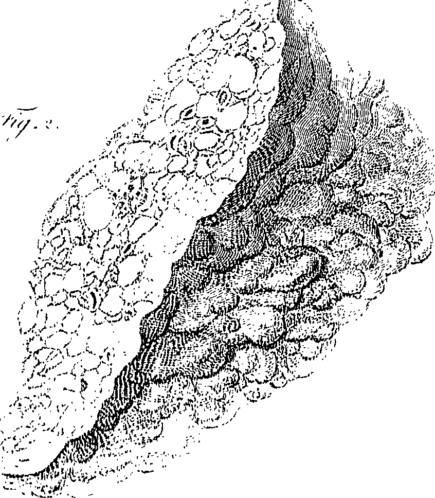 090/090550020001170_0.png