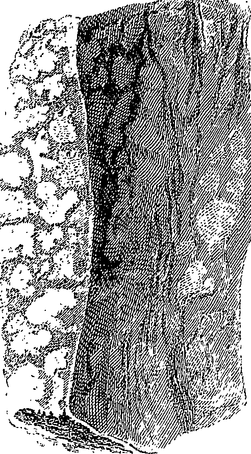 090/090550020001200_0.png