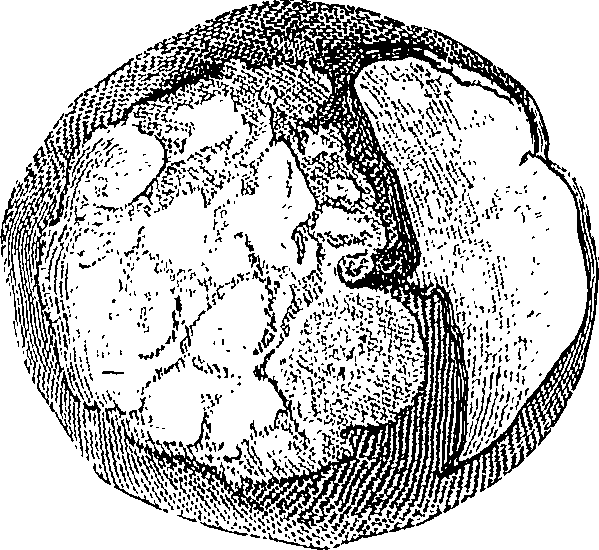 090/090550020001230_0.png