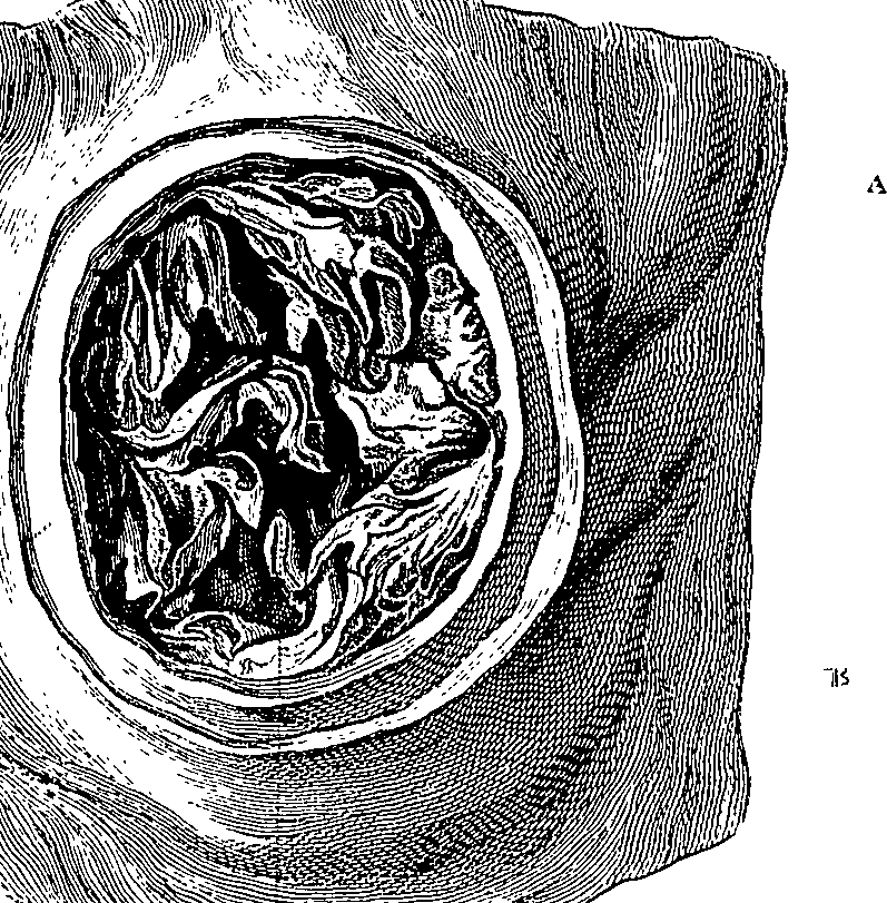 090/090550020001230_1.png