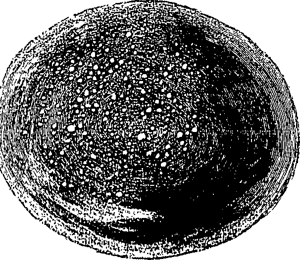 090/090550020001260_0.png