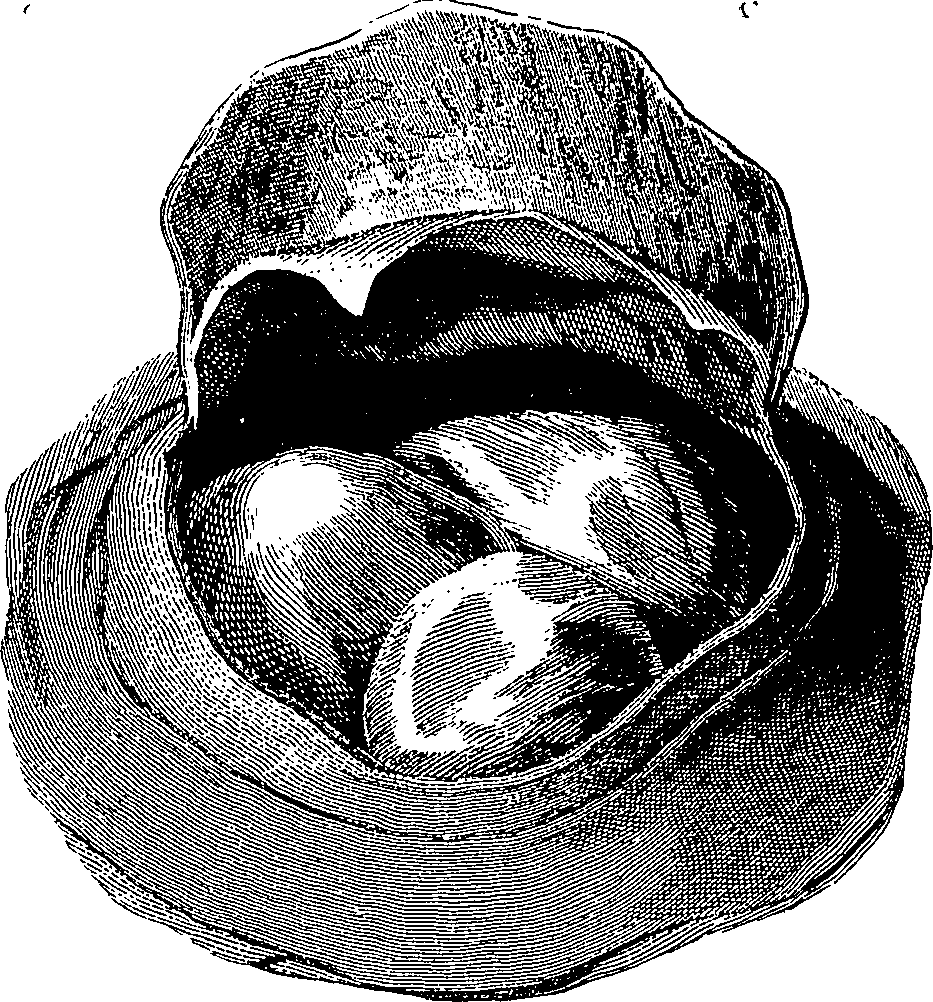090/090550020001260_1.png
