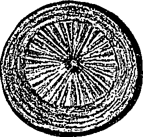 090/090550020001290_1.png