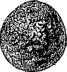 090/090550020001290_2.png