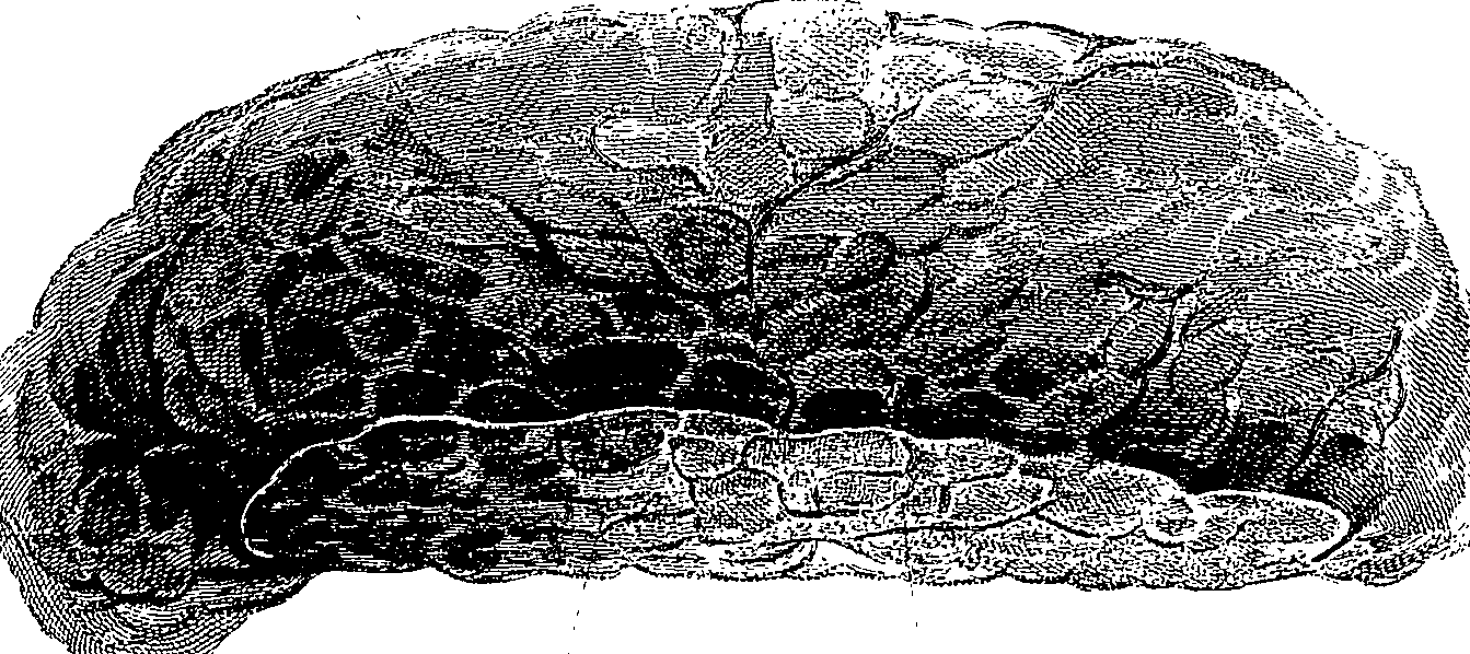 090/090550020001350_1.png