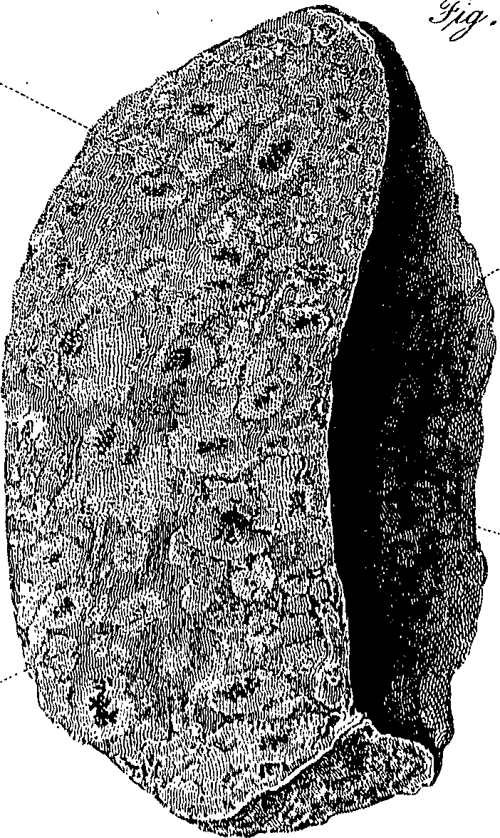 090/090550020001430_0.png