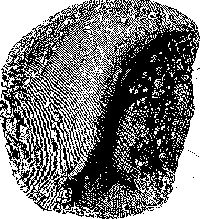 090/090550020001430_1.png
