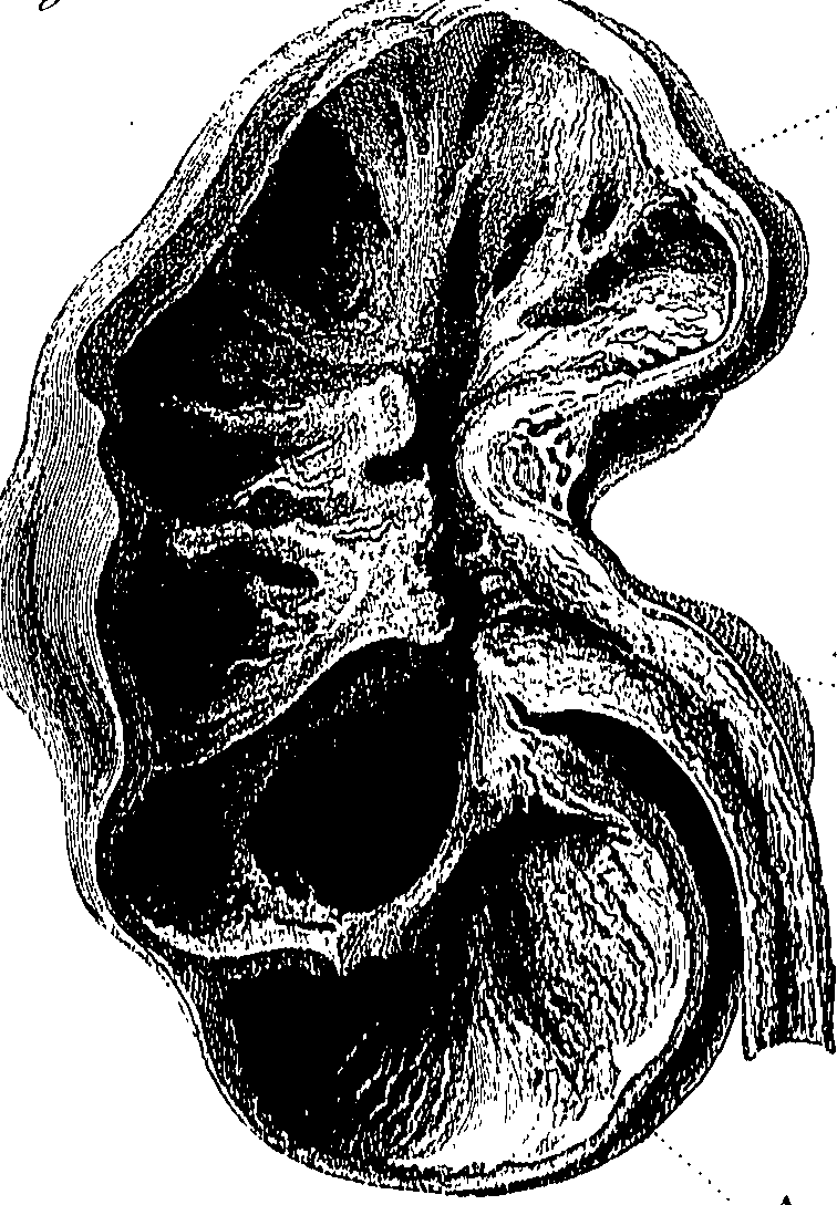 090/090550020001480_0.png