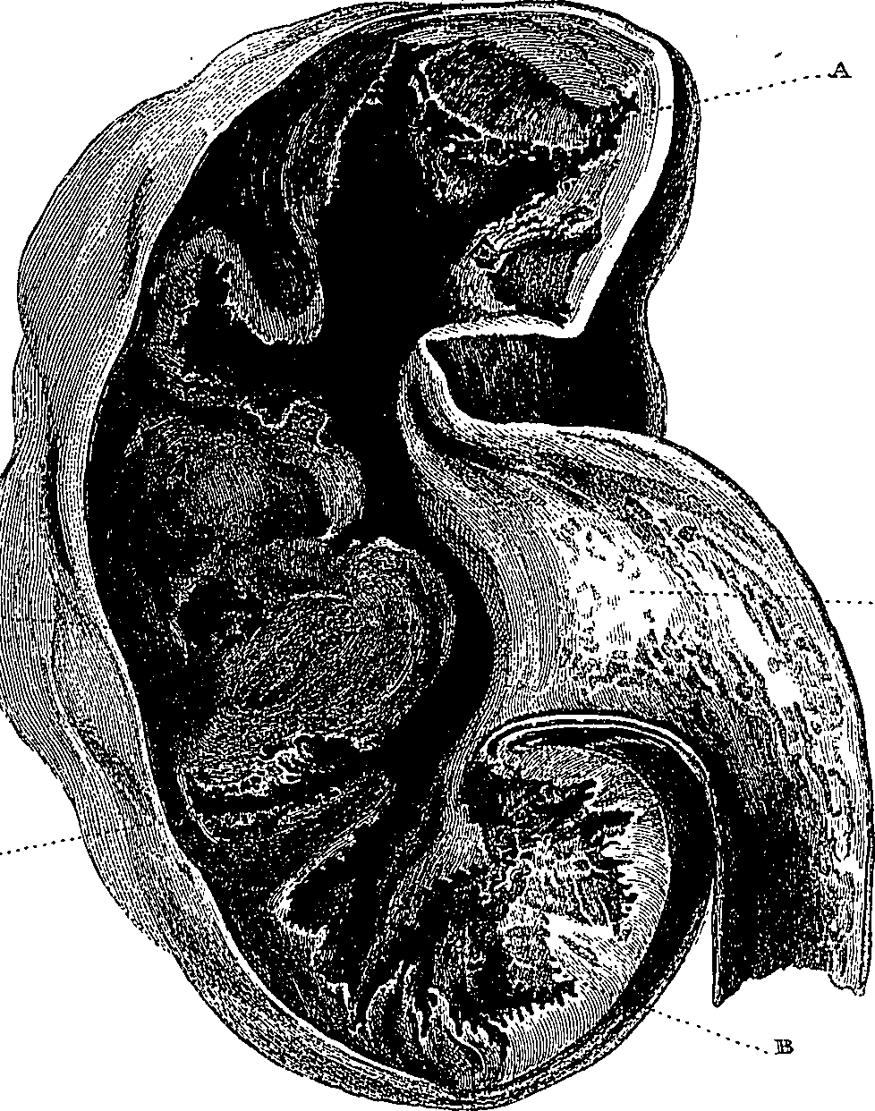 090/090550020001480_1.png