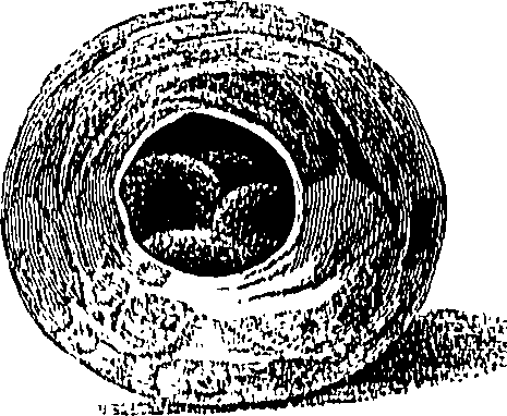 090/090550020001570_0.png
