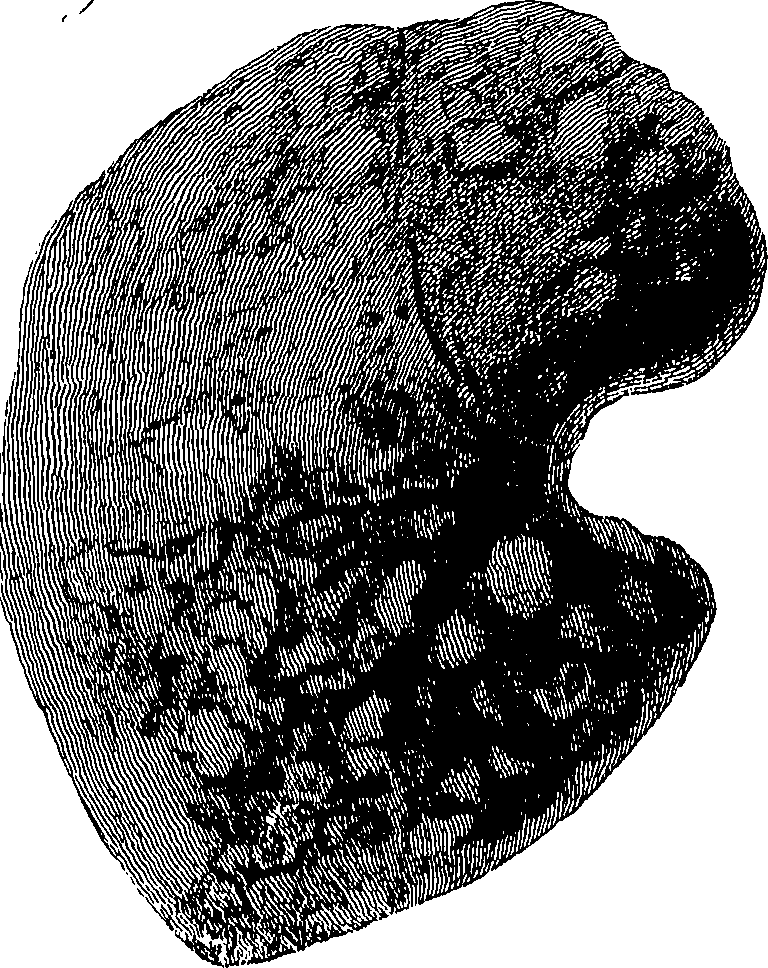 090/090550020001610_0.png