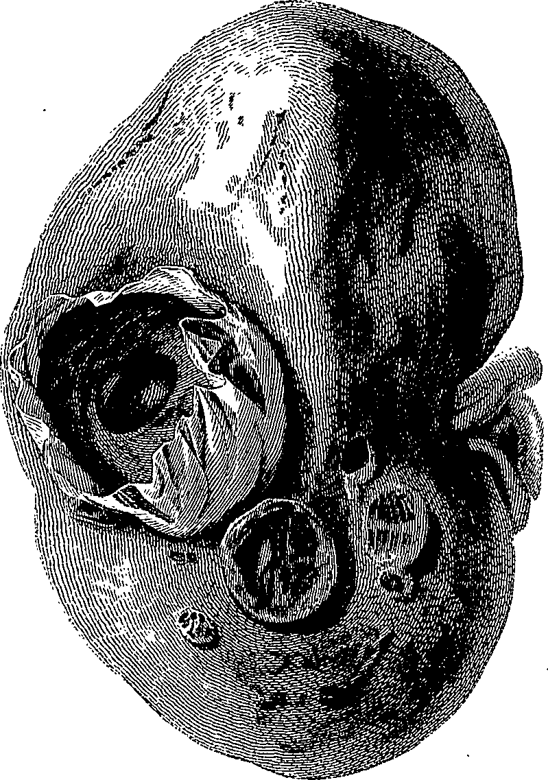 090/090550020001610_1.png