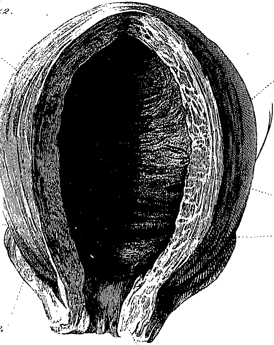 090/090550020001640_0.png