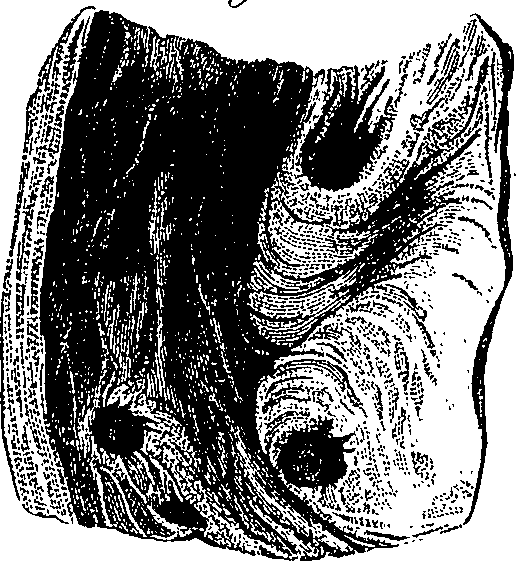 090/090550020001680_1.png