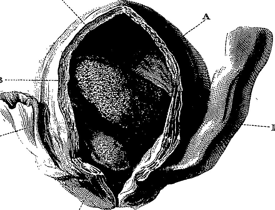 090/090550020001680_2.png