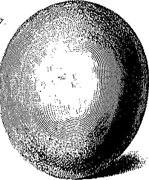 090/090550020001720_0.png